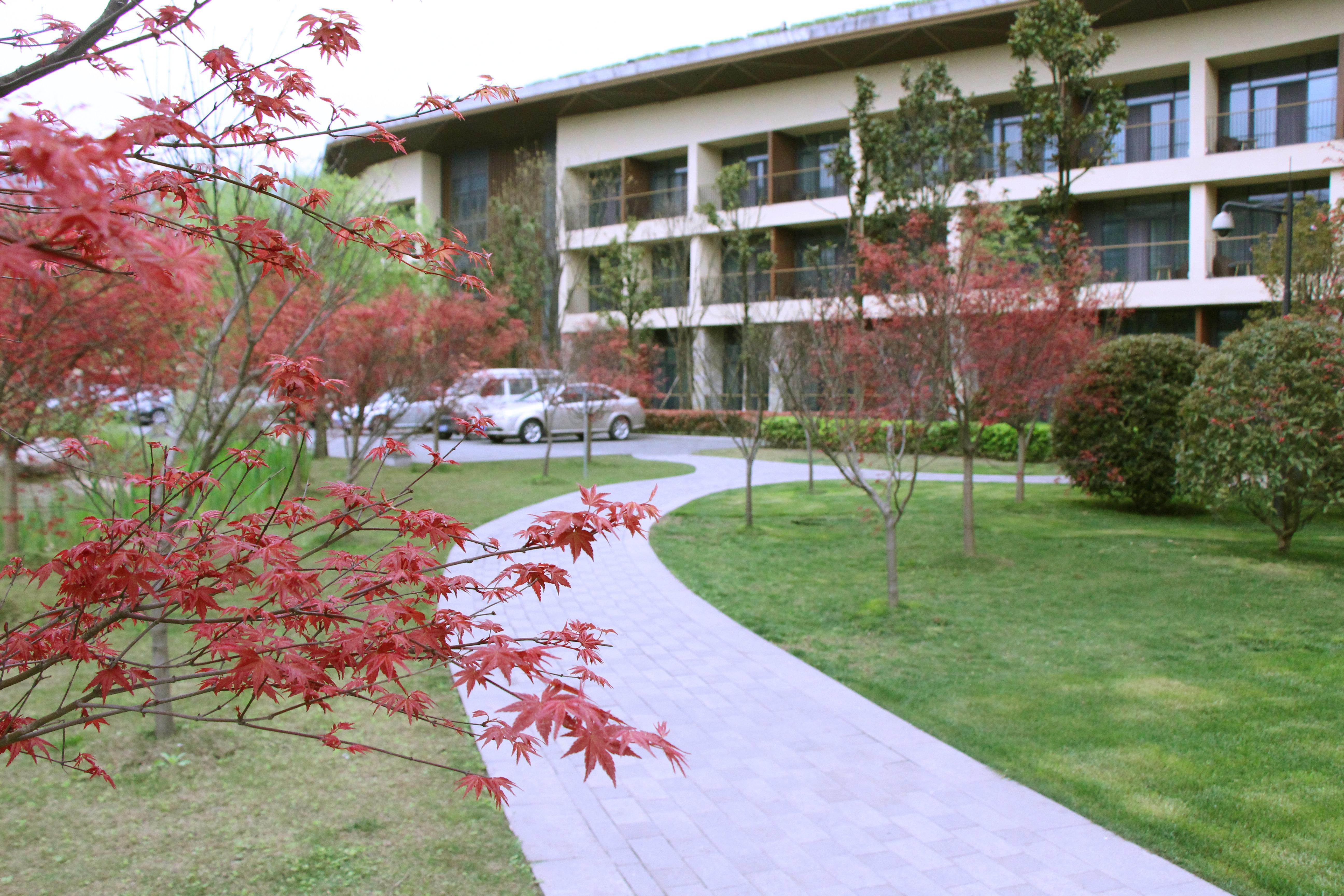 Holiday Inn Express Emei Mountain By Ihg Emeishan Exterior photo