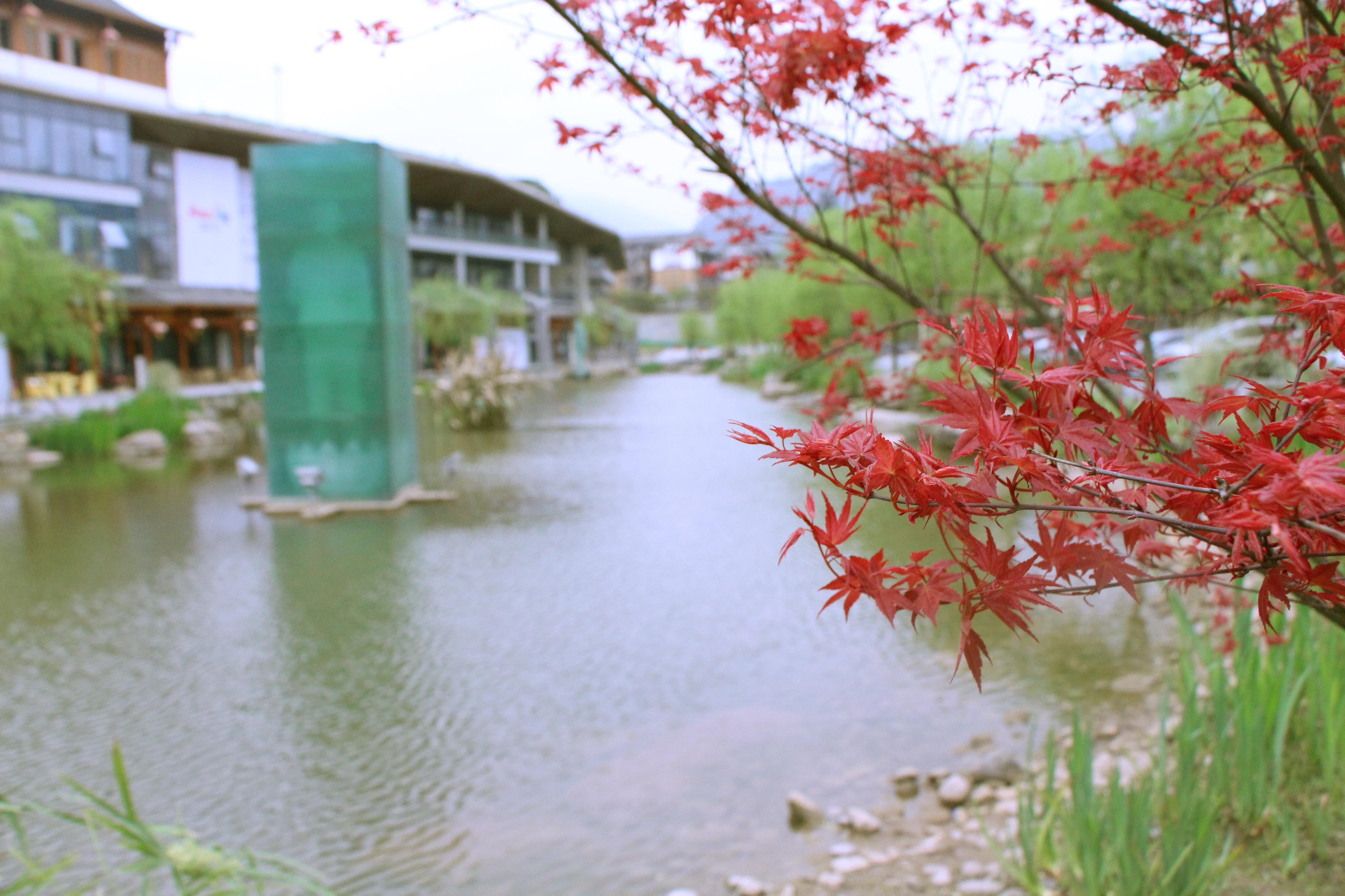 Holiday Inn Express Emei Mountain By Ihg Emeishan Exterior photo