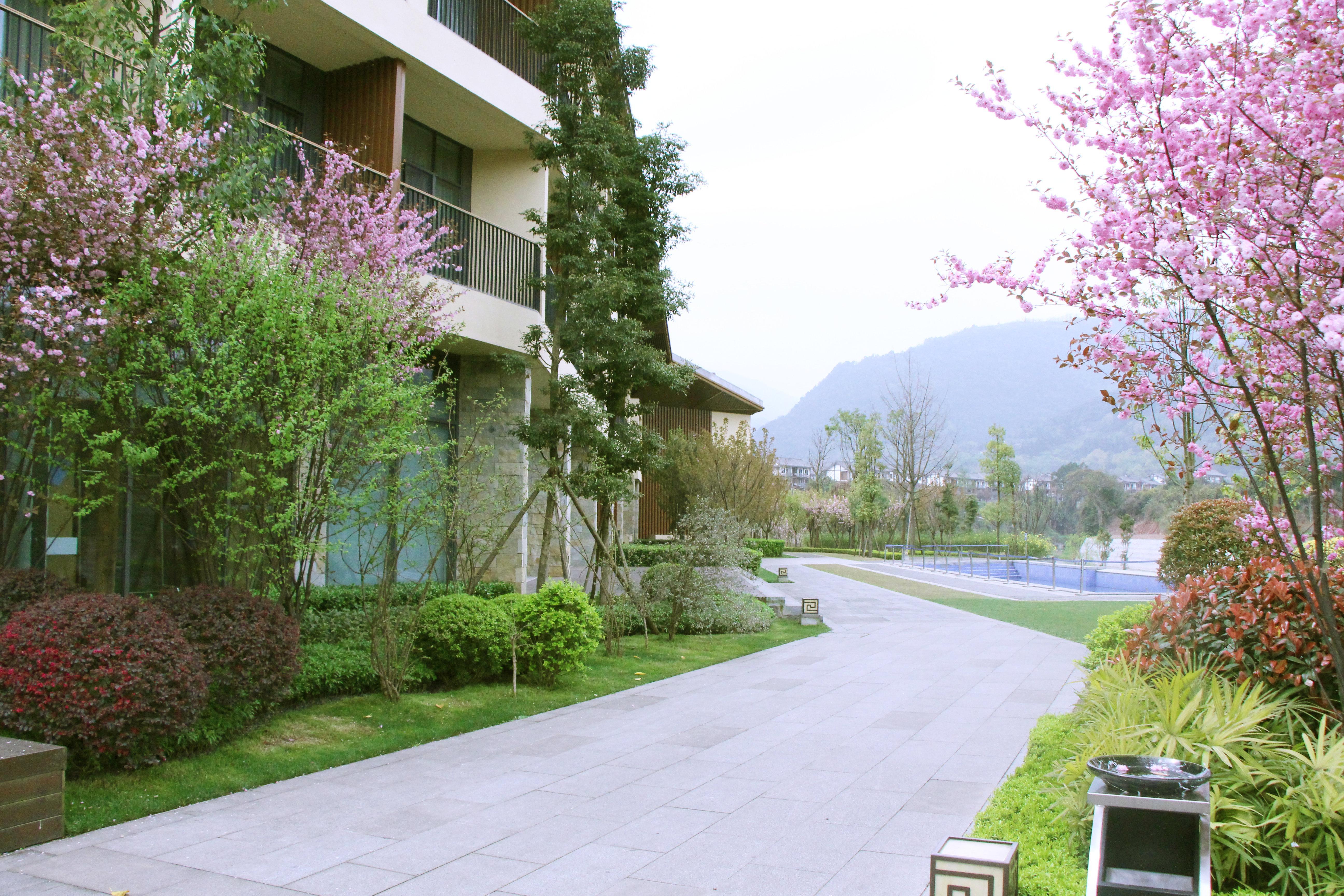 Holiday Inn Express Emei Mountain By Ihg Emeishan Exterior photo