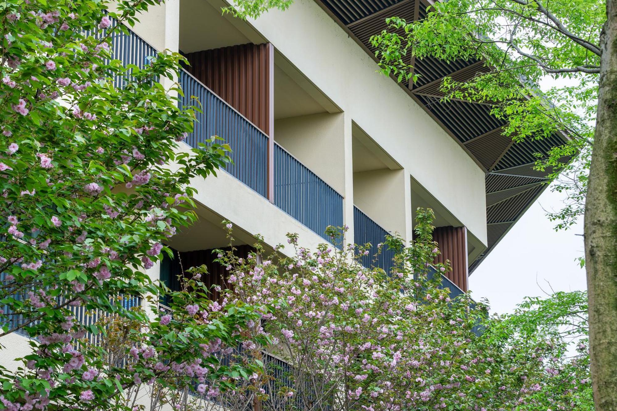 Holiday Inn Express Emei Mountain By Ihg Emeishan Exterior photo